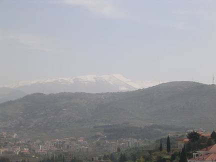AppleMark